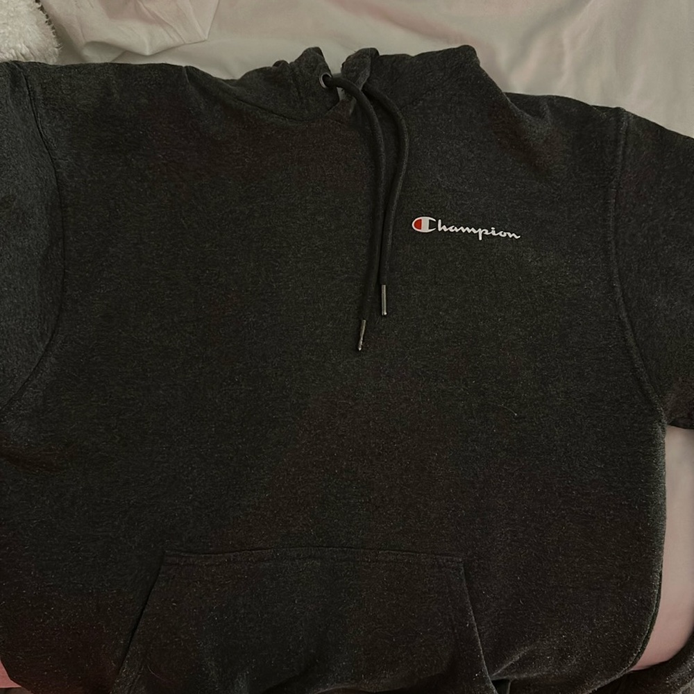 men’s champion hoodie